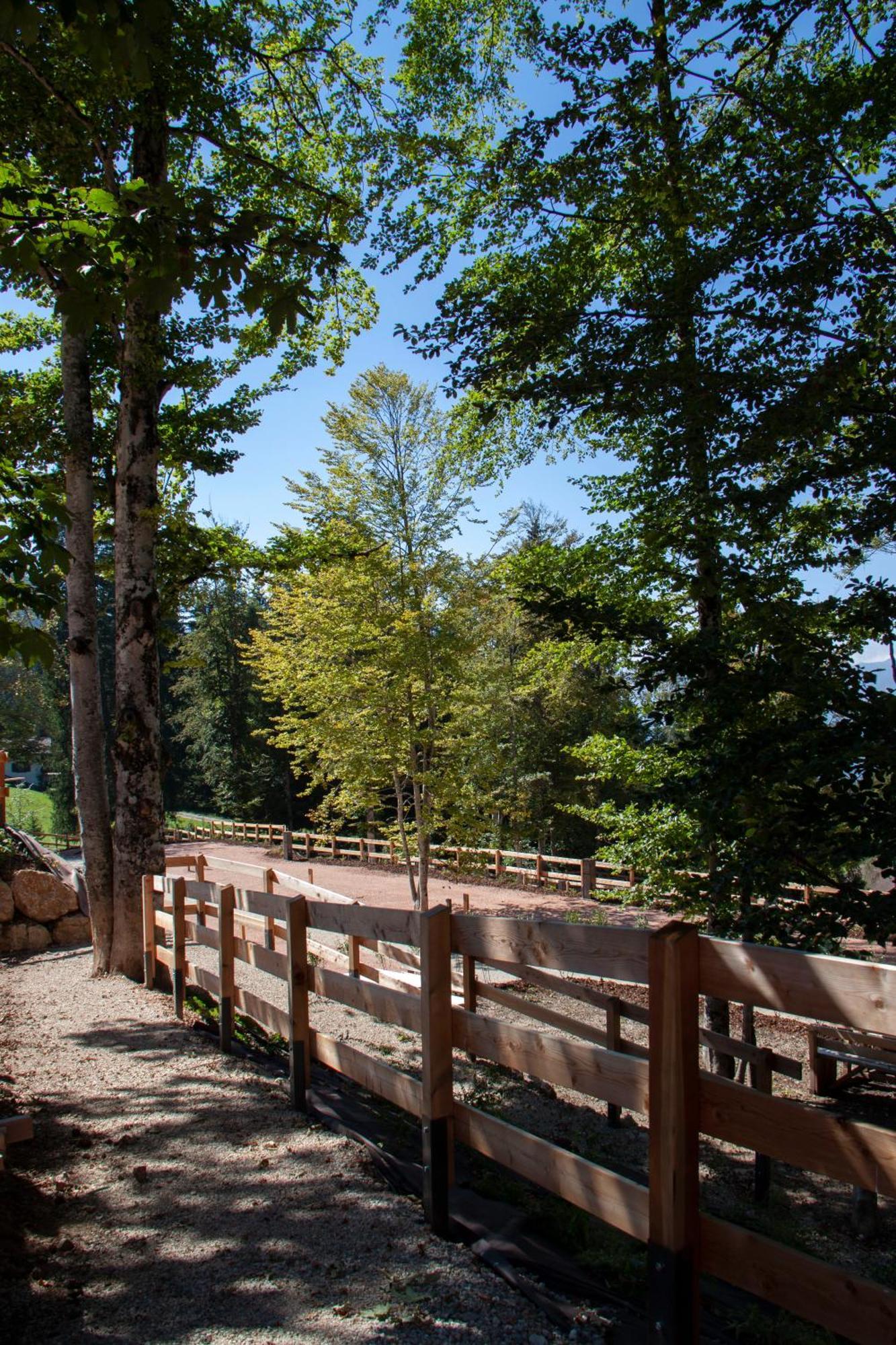 Camping Essenza Alpina Фолгария Екстериор снимка